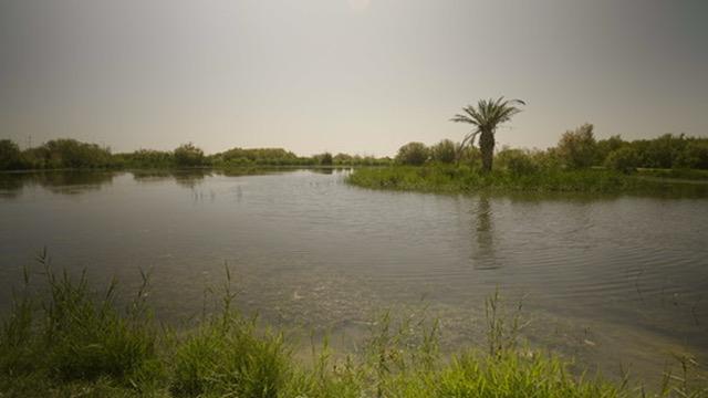 Water Buffalo and Bird Watching Trek